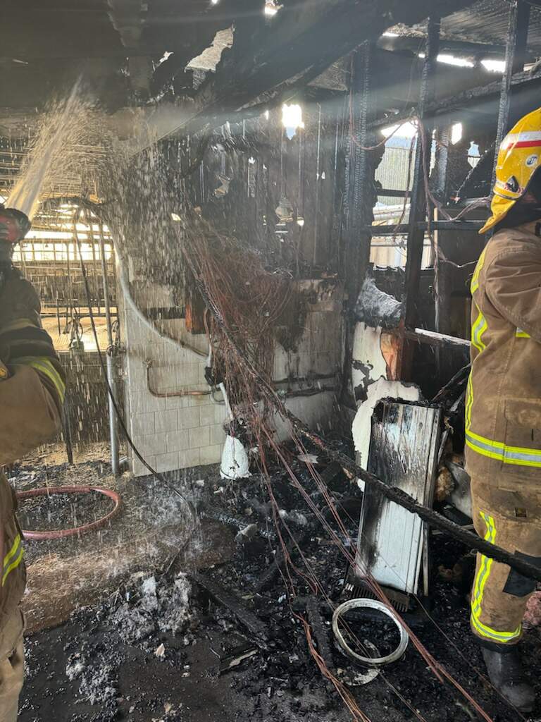 Old MacDonald had a shed